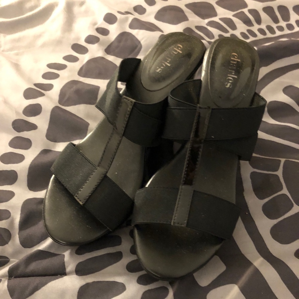 Charles David Wedge Sandals